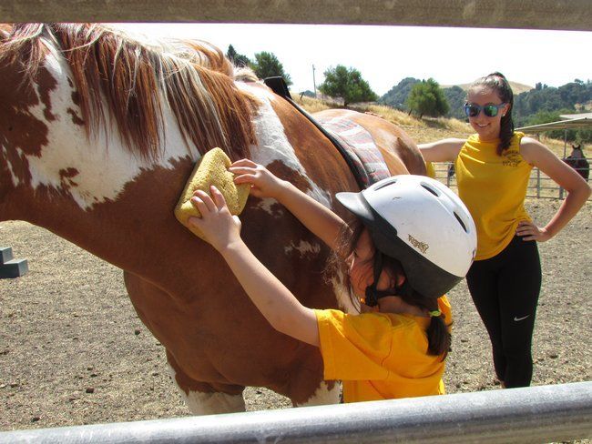 Come see camp in action. Schedule a personal tour of Roughing It Day Camp Come see camp in action. Schedule a personal tour of Roughing It Day Camp